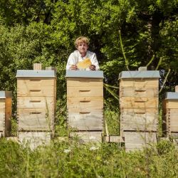 EDEKA Susanne Krüger e.K. in Binz OT Prora - Bienenkönig Imkerei